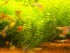 101_0011.JPG
