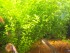 101_0023.JPG