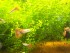 101_0024.JPG