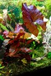 IMG_20220106_201316.jpg