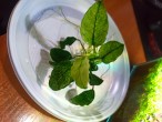 IMG_20220129_084802.jpg