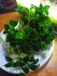IMG_20220129_085249.jpg