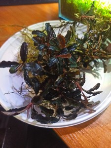 IMG_20220129_085515.jpg