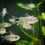 copy_645_IMG_20211225_210851_729.jpg