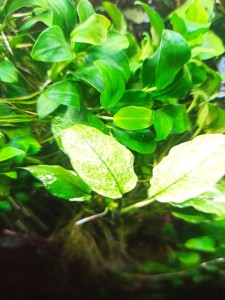 copy_658_IMG_20220114_163139.jpg