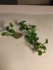 copy_664_copy_79_IMG_20201105_220659.jpg