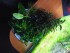 copy_740_IMG_20220114_162913.jpg