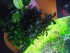 copy_863_IMG_20220114_162856.jpg