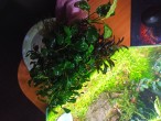 copy_165_copy_488_IMG_20220114_162851.jpg