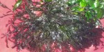 IMG_20221007_190436.jpg
