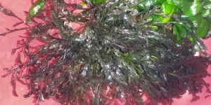 IMG_20221007_190436.jpg