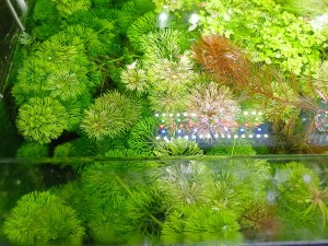 IMG20230217104127.jpg