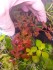 IMG20230217105105.jpg