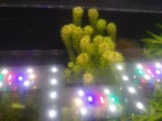 IMG_20230217_173835.jpg