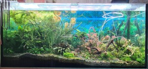 20230323_120719 — копия.jpg