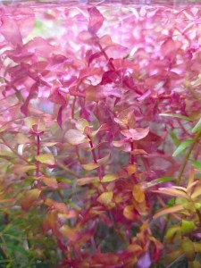 IMG20230319151903.jpg