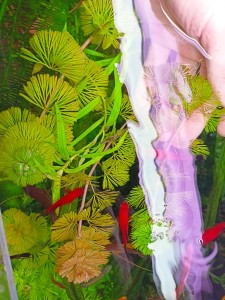 IMG20230319153124.jpg