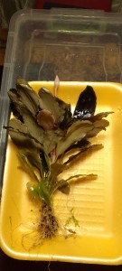 IMG_20230316_205404.jpg
