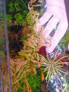 IMG20230520131141.jpg