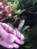 copy_572_E0E133F0-0022-4381-9B70-488108B37E69.jpeg