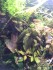 BB0A200B-4E9D-4593-9ACB-F9A9BA79F965.jpeg