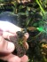 copy_70_copy_305_copy_979_copy_440_copy_516_photo1637008233-1.jpeg