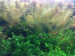 copy_124_IMG_20200602_125319.jpg