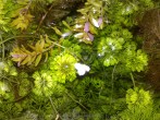 copy_56_080120081790.jpg