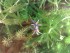 copy_923_100720161597.jpg