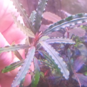 20230928_094124_mfnr.jpg