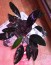 IMG_20231031_125048~2.jpg