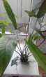 20200628_101801.jpg
