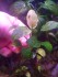 IMG_20231129_102400.jpg