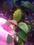 IMG_20231129_102420.jpg