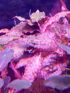 IMG_20231212_111539.jpg