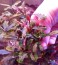 IMG_20231217_160805.jpg