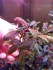 IMG_20231219_155409.jpg