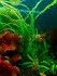 IMG_20240126_201226.jpg
