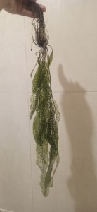 copy_629_IMG_20240108_104629.jpg
