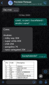 copy_692_copy_476_copy_388_36E58764-91DE-4239-B74E-9E6B0429E345.jpeg