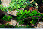 copy_426_DSC0073.jpg