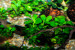 copy_528_DSC0075.jpg