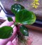 IMG_20240401_165005.jpg
