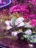 IMG_20240416_161255.jpg