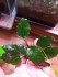 IMG_20240416_161641.jpg