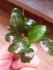 IMG_20240428_094044.jpg