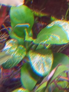 IMG_20240428_103858.jpg