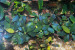 copy_978_DSC0097-1.jpg