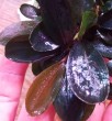 IMG_20240501_164928~3.jpg