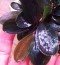 IMG_20240501_164928~3.jpg
